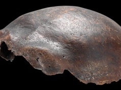 Hybryda człowieka z innym gatunkiem? Badania nad tym osobnikiem przyniosły szokującą odpowiedź