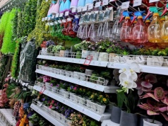 Nowy rywal dla Action i Pepco. Planuje otworzyć nawet 50 sklepów rocznie w Polsce