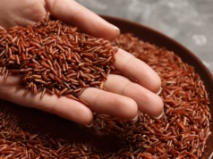 Nie łącz z lekami ani nie bierz na własną rękę. Kardiolog: Silnie działa na cholesterol