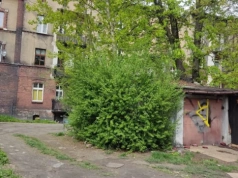 Absurd na ul. Lompy w Mysłowicach. Mieszkańcy przegrali z krzakami