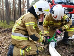 Nocny pożar w Siedlcach. Ogień w lesie przy ul. Żuławskiej