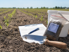 Czy opłaca się badać glebę? Liczby nie pozostawiają złudzeń