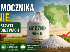 Cena mocznika rośnie. Sprawdź najnowsze stawki w województwach