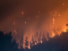 Wystarczy iskra. Alarmująca sytuacja pożarowa w pomorskich lasach