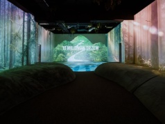 Poczuć naturę w centrum miasta. Tę wystawę trzeba zobaczyć