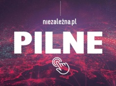 Dramat u stóp Bieszczadów. Po ataku niedźwiedzia, nie żyje 58-latka