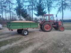 Ceny pszenicy 2026 stoją. Sprzedawać czy jeszcze czekać?