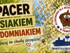 Wyjdź na spacer z psiakiem bezdomniakiem. Akcja wolontariuszy w Ciechanowie