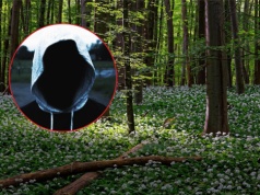 Był już karany i znowu to zrobił. 38-latek aresztowany za napaść na tle seksualnym