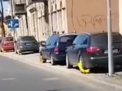 Mandat, mandat, mandat. Jeleniogórska straż miejska w swoim żywiole