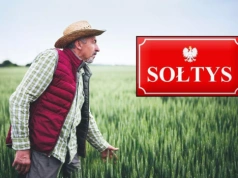 Czy zabraknie pieniędzy dla sołtysów? Wydatki pod lupą