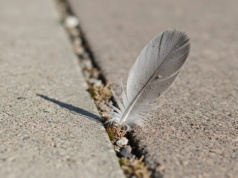 Znalazłeś je przypadkiem? Będziesz mieć szczęścia co niemiara