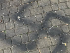 Ukrainiec gloryfikował na Podlasiu ideologię hitlerowską