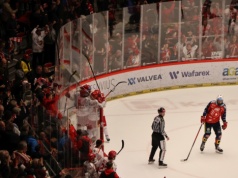 Remis w serii! Dobry mecz Stalowników i pewna wygrana