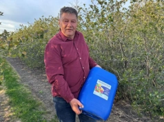 Nadchodzi fala przymrozków. Plantator zdradza, co robi przed nocą