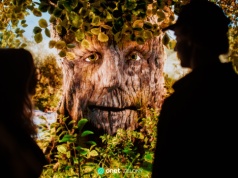 Wystawa, która pozwala poczuć naturę w centrum miasta