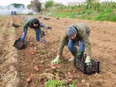 "Wielu z nich grozi bankructwo". Branża alarmuje. Wskazuje przyczynę