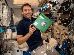 Organizmy z polskiego eksperymentu wpadły w szał. Zyskały tam "supermoce"