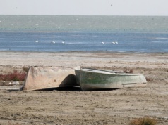 Skutki zdrowotne katastrofy ekologicznej Jeziora Aralskiego