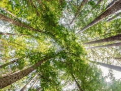 Rewizja elastyczności ram polityki klimatycznej UE po 2030 r.