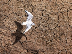 W roku 2026 czeka nas susza. Nie wystarczy o niej mówić – trzeba zatrzymać wodę