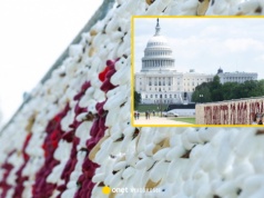 Tak wyrazili sprzeciw wobec działań Rosji. Tysiące pluszaków w centrum Waszyngtonu