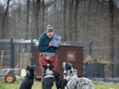 Jeśli tego nie zmienimy, pogryzień będzie więcej. Katarzyna Harmata apeluje