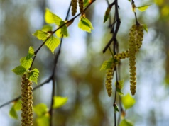 Pogoda na piątek. Słońce, wiatr i przelotne opady