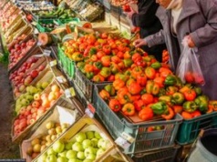 Wszyscy polują na fioletowe. Warzywne złoto za 40 zł za kg