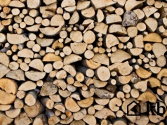 Buk czy sosna do kominka? Jedno pali się znakomicie i daje ciepło, drugie to same problemy