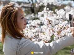 Po siedmiu latach pracy masz nowy rodzaj urlopu. Kontrowersyjna propozycja zmian w Kodeksie pracy