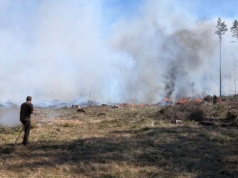 Pożar lasu na Mazurach. Ogień objął aż 16 hektarów