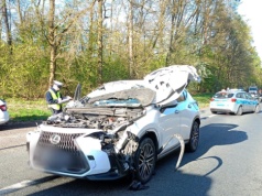 Utrudnienia na DK92 w Kościelcu. Zderzenie z łosiem, dwie osoby ranne