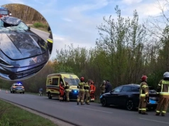 Wypadki ze zwierzętami. Jedno auta uderzyło w łosia, drugie omijało kilka saren i wpadło do rowu