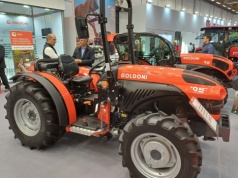 Dla Turków z Basaka 8 milionów euro za Goldoni to drobne. Czy przejmą legendę?