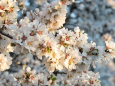 Cytat o tym czym jest sukces