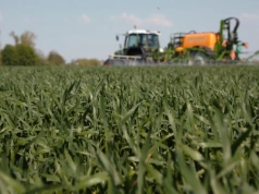 Nowy herbicyd na odporne chwasty w zbożach, kukurydzy i rzepaku. Isoflex® dopuszczony w UE