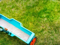 Jak wyrównać trawnik? Genialny sposób na górki i dołki