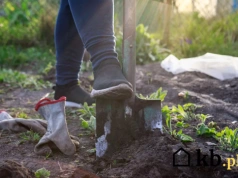 Kara od tysiąca do miliona złotych za coś, co właściciele działek robią nagminnie i za darmo