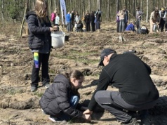 Ekologiczna lekcja w terenie. Uczniowie sadzili las w Kazimierzu Biskupim