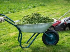 Uważaj po skoszeniu trawy. Przyłapany zapłaci mandat