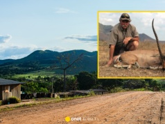 Milioner z USA zginął podczas polowania w Gabonie. Zaatakowało go stado słoni