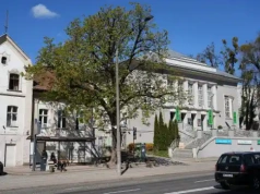 Koniec pewnej ery przy Teatrze Jaracza. Historyczny kasztanowiec musi zostać usunięty