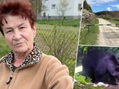 Krzyczała "niedźwiedź!" i nagle rozmowa się urwała. Mieszkańcy po tragedii: Teraz strach wyjść z domu