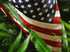 Zmiana klasyfikacji marihuany: Przełomowy krok w Ameryce