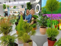 Jak dbać o domowe kwiaty z marketu? Kasia Joda wyjaśnia