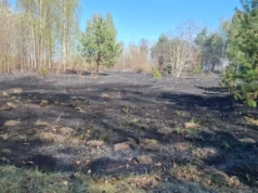 Podpalił i sam został poparzony. Bezmyślne zachowanie przyczyną groźnego pożaru