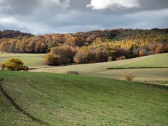 Ten kierunek Polacy odkrywają na nowo. Taniej niż nad Bałtykiem, a widoki zachwycają
