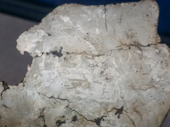 Meteoryt żelazny znaleziony pod Łodzią. Eksperci: To pozostałość po bolidzie