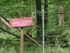 Ochrona przyrody pod znakiem zapytania. Naukowcy krytykują projekt zmian w sprawie rezerwatów